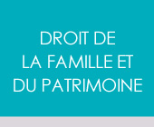 droit de la famille avocat lyon